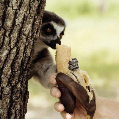 Image for choice number 7